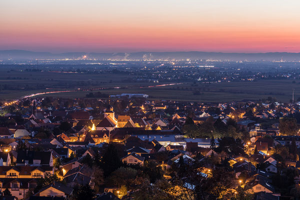 Blick über Wachenheim in die Rheinebene