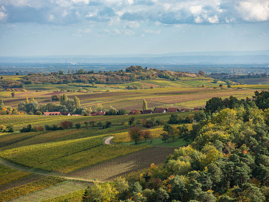 Herbstlandschaften bei Birkweiler