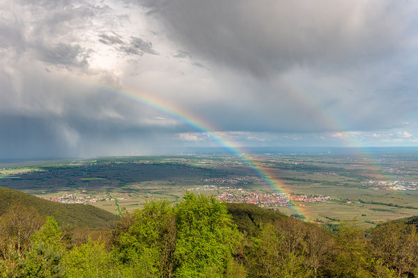 Nach dem Regen auf der Kalmit