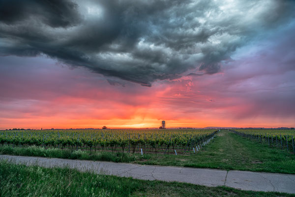 Sonnenaufgang bei Duttweiler