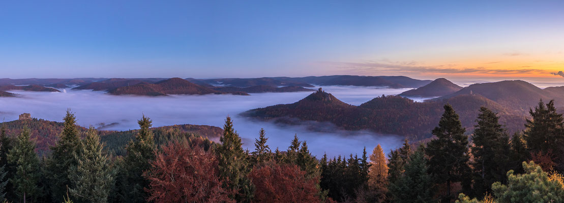 Queichtal im Nebel