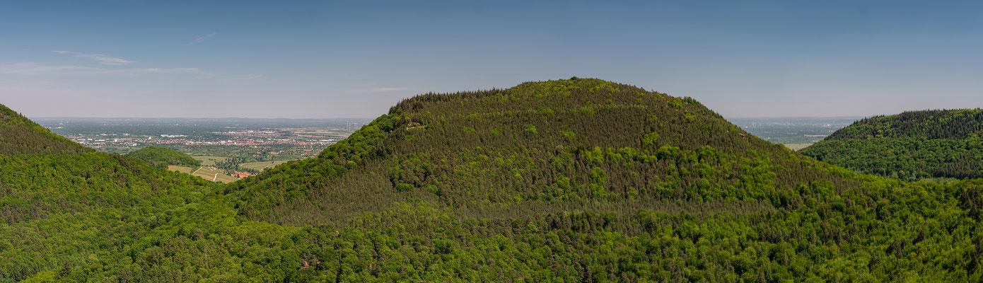 Ausblick auf Landau und Südliche Weinstraße