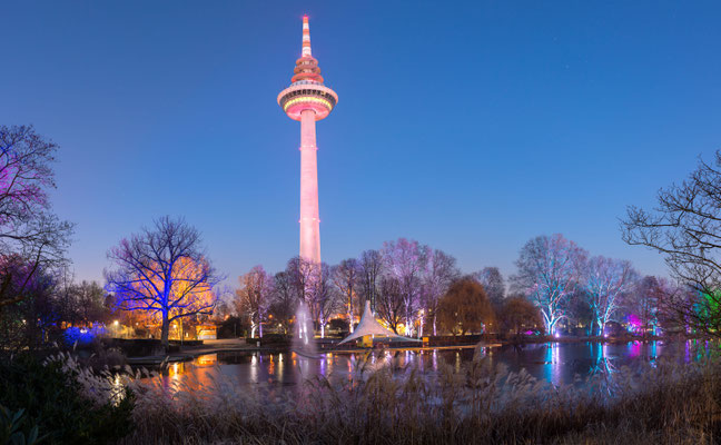 Luisenpark Mannheim in der Nacht