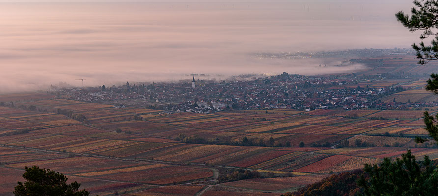 Nebelmorgen am Sühnekreuz