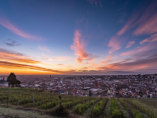 Blaue Stunde über Neustadt