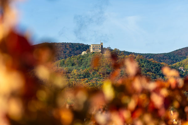 Hambacher Schloss im Herbstkleid