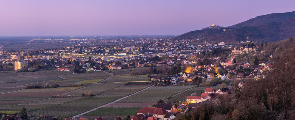 Blick vom Steinbruch auf Haardt und Neustadt