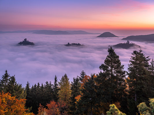 Nebelmorgen am Rehbergturm