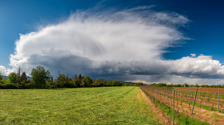 Gewitterwolken bei Lachen-Speyerdorf