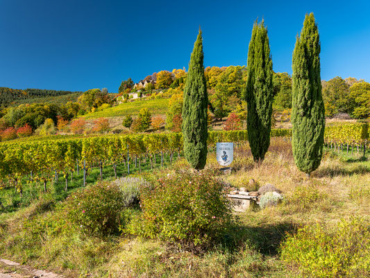 Herbstliche Landschaften bei Sankt Martin