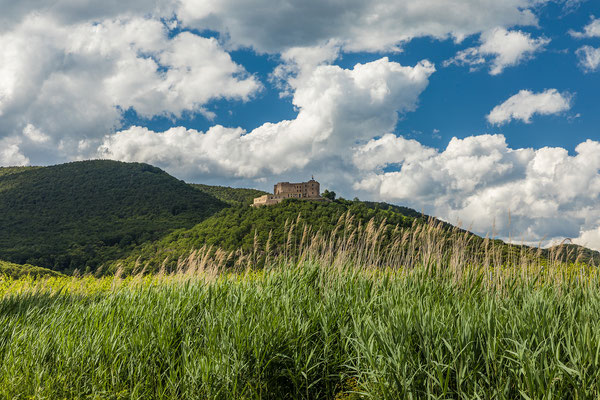 Blick aufs Hambacher Schloss