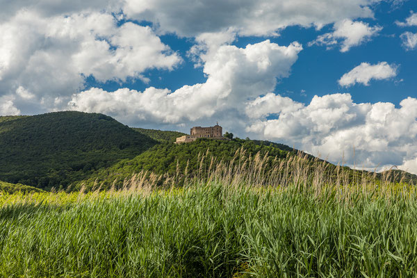 Blick aufs Hambacher Schloss