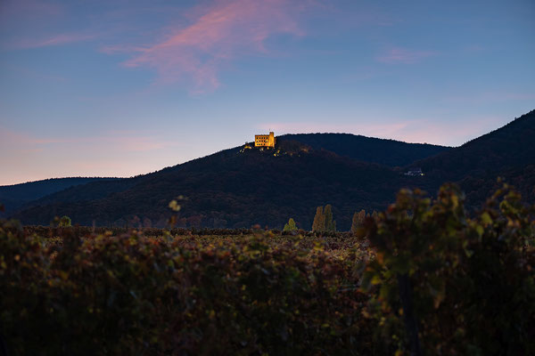 Abendliche Blaue Stunde am Hambacher Schloss