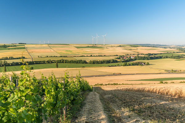 Ausblick ins Zellertal