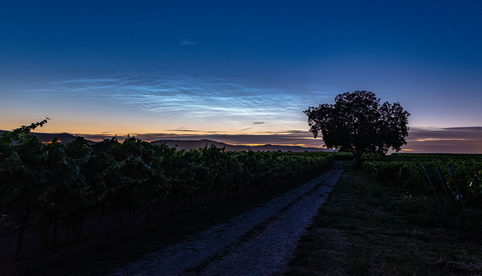 Leuchtende Nachtwolken bei Duttweiler