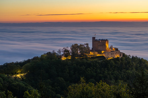Zauberhafter Morgen am Hambacher Schloss