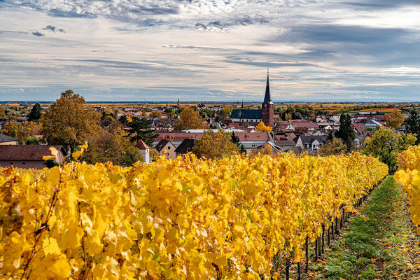 Herbststimmung in Deidesheim