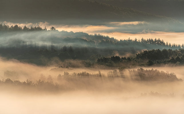Nebelmorgen an den Geiersteinen