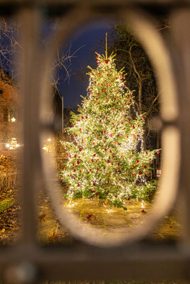 Weihnachtsmarkt in Deidesheim