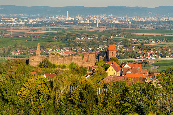 Fernsicht von Neuleiningen in die Rheinebene
