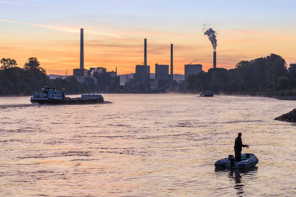 .... schon viel los auf dem Rhein ... 