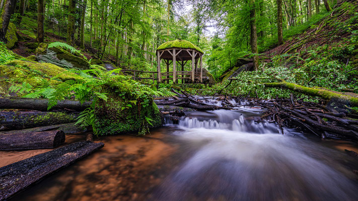 Regentag in der Karlstalschlucht