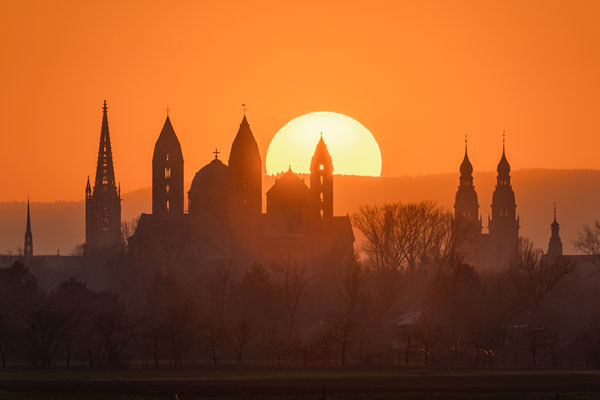 Sonnenuntergang hinter dem Speyerer Dom