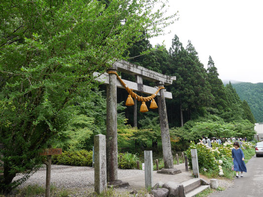 根道神社の鳥居横にモネの池はあります
