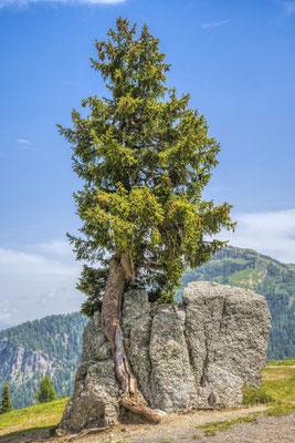 Starker Rückhalt