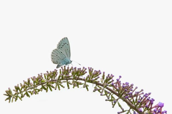 Schritt für Schritt