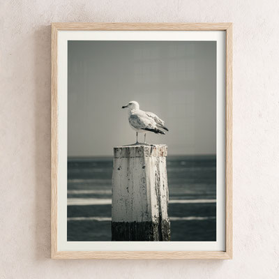 Minimal Seagel fine art photo 