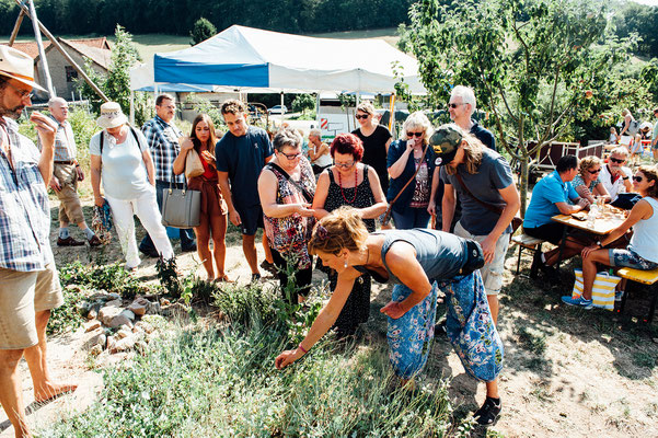 Tomatenfest. Foto: Daniel Kunzfeld