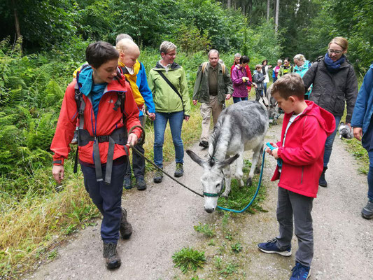 Eselwanderung. 14. Juli 2019 um Bad Salzdetfurth. Foto: Nadine Grobeis