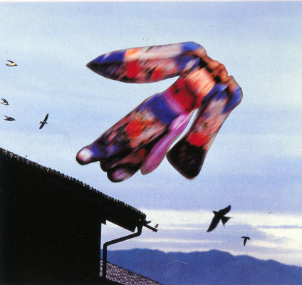 Swallow / collage / 18.9x20.4cm / 1984　「燕」コラージュ