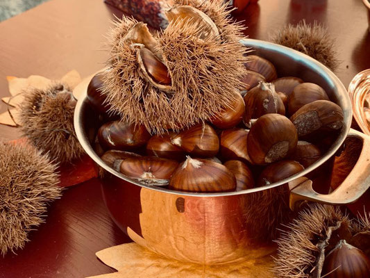 MARRONIZAUBER | Marronistand mieten | Outdoor Marroni-Catering | Glühwein | In Zürich, Winterthur Schaffhausen St. Gallen | Marronistand mieten für Event, Party | Marronibrater / Marronimann mieten in Zürich, Winterthur