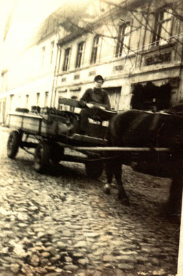 mit dem eigenen Pferd und Wagen