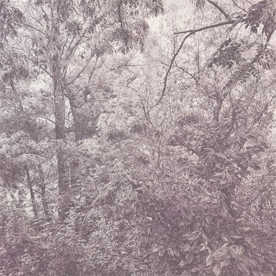 "Violet Grey". Colour pencil on paper glued to aluminium dibond. 80 x 80 cm. Sold. Private collection.