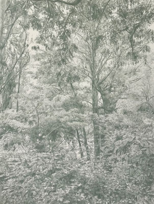 Earth green. Colour pencil on paper glued to aluminium dibond.  65 x 50 cm. Sold.Private collection.
