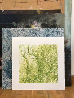 "Verde Mayo" 50 x 50 cm. Colored pencils on paper glued to aluminium dibond. Sold. Private collection.