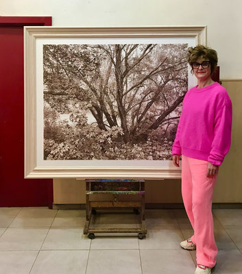 "Mi árbol favorito en Sepia". 132 x 107 cm./ 165 x 140 cm. framed. Colored pencils on paper glued to aluminium dibond.