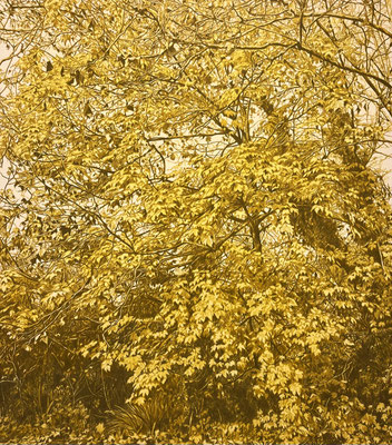 “Green and Yellow”. 80 x 70 cm./ 110 x 100 cm. framed. Colored pencils on paper glued to aluminum dibond. Sold, private collection.