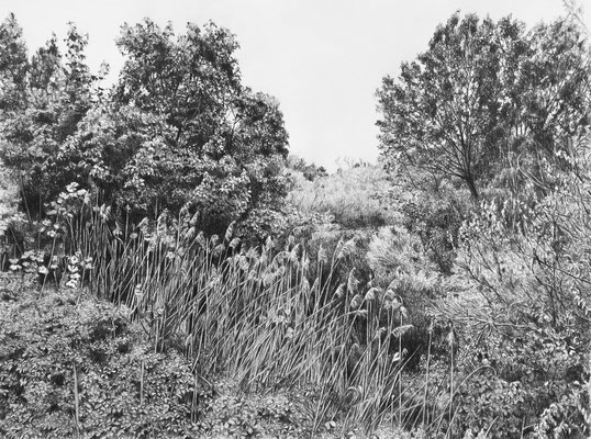 Black Pencil on paper. 41 x 31 cm. Sold. Private collection.