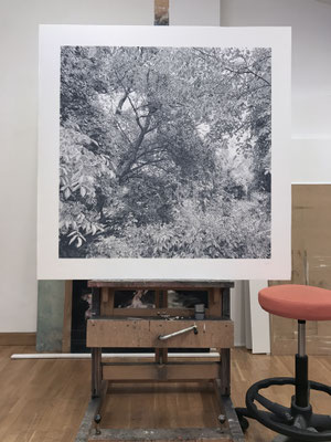 "Gris de Payne", at the studio. Sold. Private collection.
