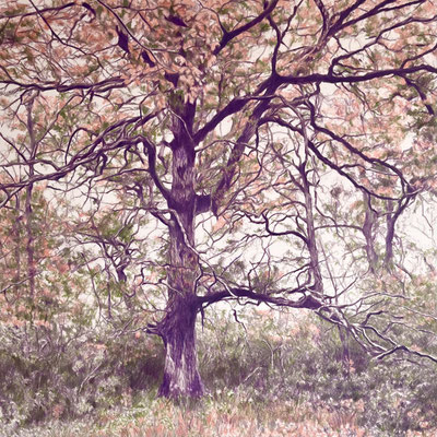 "Purple, Salmon, Green". 50 x 50 cm / 65,7 x 65,7 cm framed. Color pencils on paper glued to aluminium dibond.