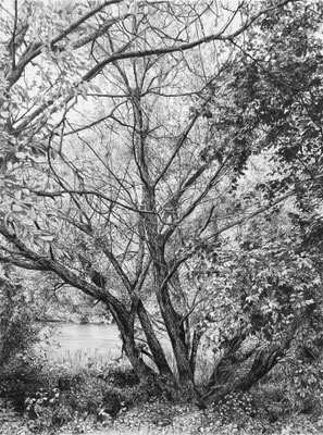 Black Pencil on paper. 41 x 31 cm. Sold. Private collection.