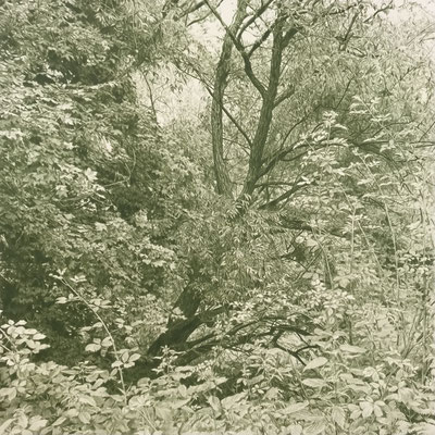 "Verde Cromo". Colour pencil on paper glued to aluminium dibond. 60 x 60 cm.  Sold. Private collection.