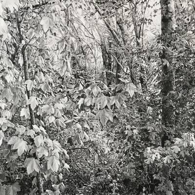 Lápiz#8. Black pencil on paper glued to aluminium dibond. 50 x 50 cm. Sold, private collection.