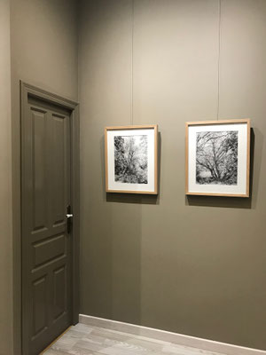 El Estudio de Biescas, Huesca, Spain.