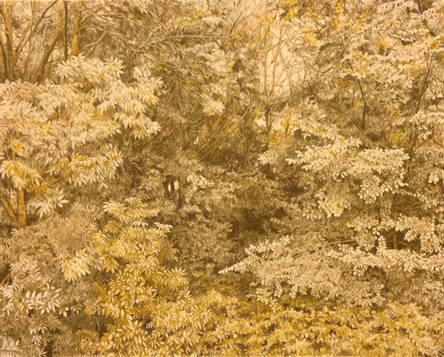 "Olive and Yellow". 56,5 x 45 cm /82,2  x 69,6 cm. framed. Color pencils and soft pastel on paper glued to aluminium dibond. Sold, private collection.