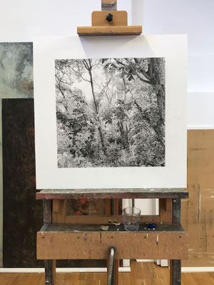 Lápiz#4. Black pencil on paper glued to aluminium dibond. 50 x 50 cm. Sold. Private collection.